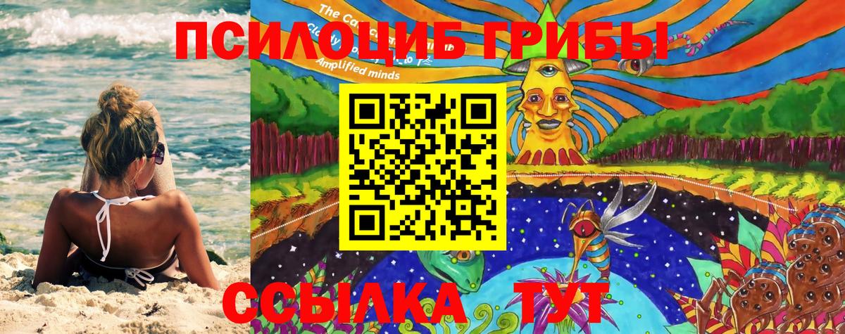Галлюциногенные грибы мицелий Майкоп