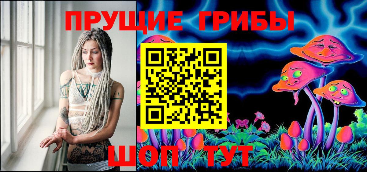 Майкоп  Галлюциногенные грибы MAGIC MUSHROOMS  Вход с VPN 